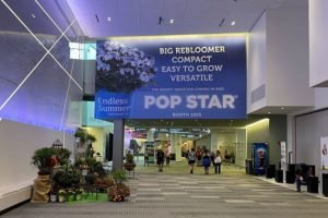 Three Expert Tips for Enticing Event Graphics