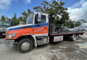 Marketing To-Go: How Fleet Wraps Optimize Brand Promotion
